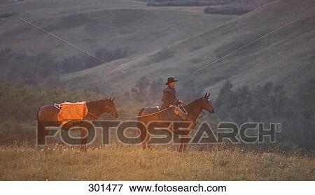 Cowboy with two horses View Large Photo Image Stock Photo - Cowboy with two horses. Fotosearch