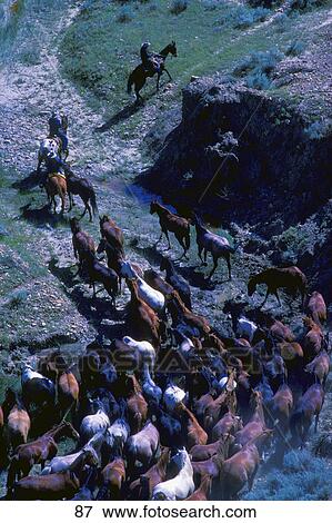 Stock Photo - Cowboys herding horses through rocky terrain. Fotosearch