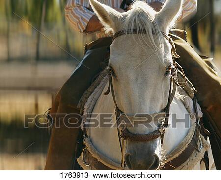Stock Image - Horseback riding. Fotosearch