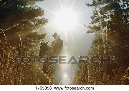 Horseback riding View Large Photo Image Stock Photo - Horseback riding. Fotosearch