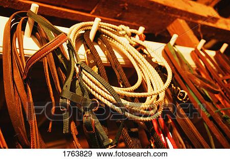 Stock Photo - Rope hanging on pegs. Fotosearch