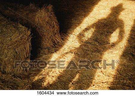 Shadow on barn floor View Large Photo Image Picture - Shadow on barn floor. Fotosearch