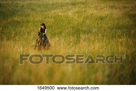 Woman riding a horse View Large Photo Image Stock Image - Woman riding a horse. Fotosearch