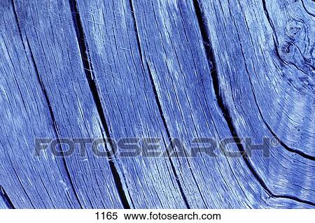 Stock Photography - Close up of old tree trunk. Fotosearch