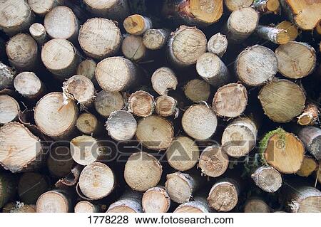 Stock Photo - Closeup of pile of logs. Fotosearch