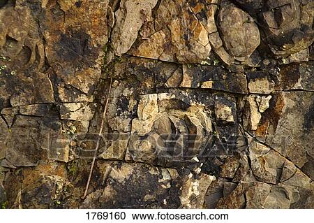 Rock wall View Large Photo Image Stock Image - Rock wall. Fotosearch