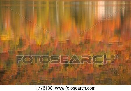 Watery reflection of autumnal colours View Large Photo Image Stock Photo - Watery reflection of autumnal colours. Fotosearch