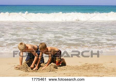 Brothers digging on beach View Large Photo Image Stock Image - Brothers digging on beach. Fotosearch