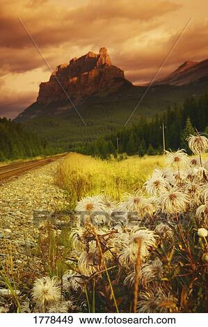 Stock Photo - A country road with a mountain in the background. Fotosearch