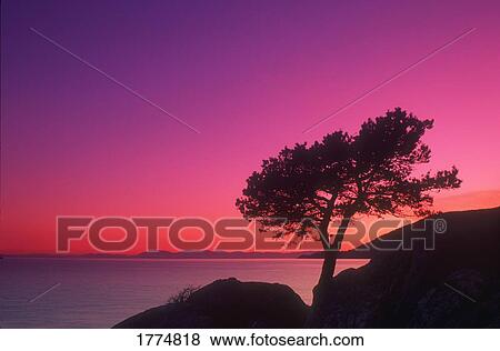 Beautiful sunset over the lake View Large Photo Image Stock Photo - Beautiful sunset over the lake. Fotosearch