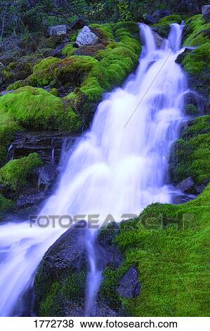 Stock Photo - Bright waterfall. Fotosearch
