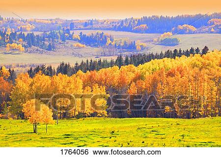 Countryside in autumn View Large Photo Image Stock Photograph - Countryside in autumn. Fotosearch