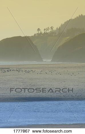 Stock Photo - Early morning shoreline. Fotosearch