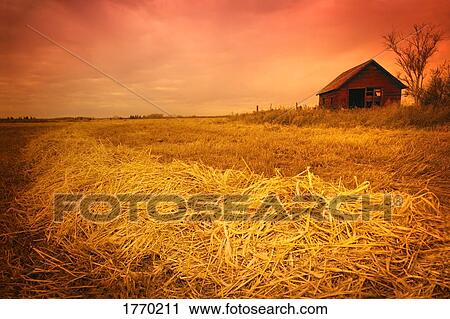 Harvest time View Large Photo Image Stock Image - Harvest time. Fotosearch