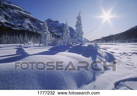 Snow covered landscape, Banff National Park, Alberta, Canada View Large Photo Image Stock Image - Snow covered landscape, Banff National Park, Alberta, Canada. Fotosearch