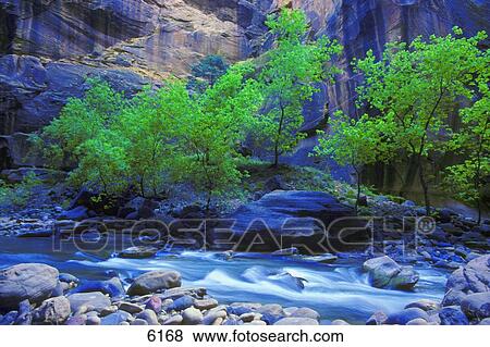 Stock Photo - Time delay of small mountain river with tree and cliff in background. Fotosearch