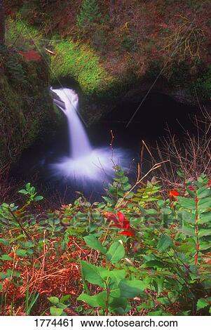 Time delay of woodland waterfall View Large Photo Image Stock Image - Time delay of woodland waterfall. Fotosearch