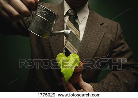 Man in suit watering a small potted plant View Large Photo Image Stock Photo - Man in suit watering a small potted plant. Fotosearch