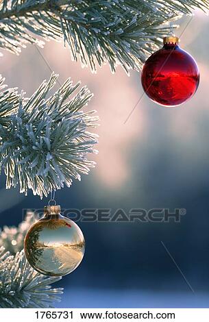 Christmas ornaments hanging on tree View Large Photo Image Stock Image - Christmas ornaments hanging on tree . Fotosearch
