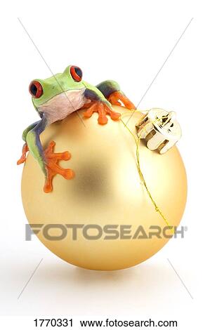 Frog sitting on Christmas ball View Large Photo Image Stock Image - Frog sitting on Christmas ball. Fotosearch