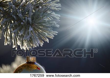 Stock Photo - A bright light shines on a Christmas tree ornament outdoors. Fotosearch