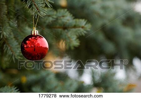 Stock Photo - A Christmas decoration. Fotosearch