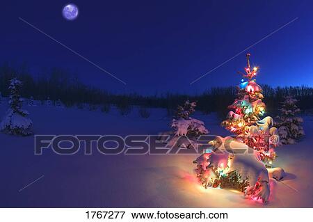 A Christmas tree glowing at night covered in snow View Large Photo Image Stock Photo - A Christmas tree glowing at night covered in snow. Fotosearch