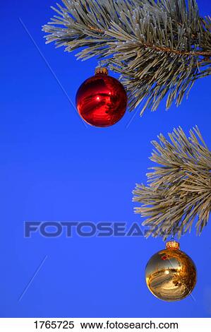 Close-Up of Christmas Ornaments Hanging from Tree outdoors View Large Photo Image Stock Photography - Close-Up of Christmas Ornaments Hanging from Tree outdoors . Fotosearch