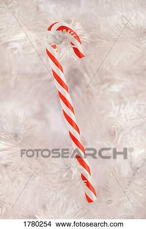 Closeup of a candy cane on white tree View Large Photo Image Picture - Closeup of a candy cane on white tree. Fotosearch
