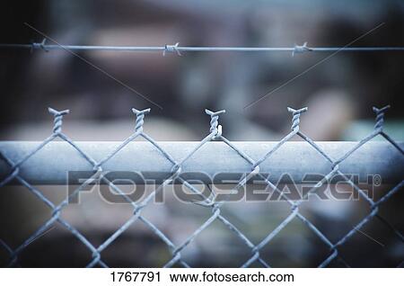 A chain link fence View Large Photo Image Stock Image - A chain link fence. Fotosearch