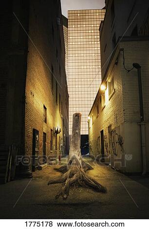 Back alley View Large Photo Image Stock Photo - Back alley. Fotosearch
