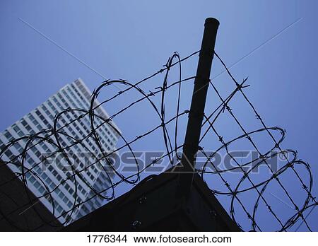 Picture - Coils of barbed wire. Fotosearch
