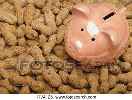 Piggy bank and peanuts View Large Photo Image Stock Photography - Piggy bank and peanuts. Fotosearch