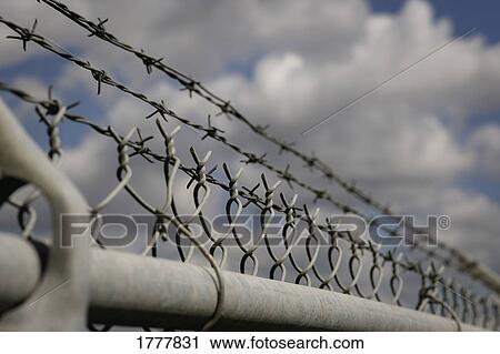 Stock Image - Barbed wire and link fence. Fotosearch