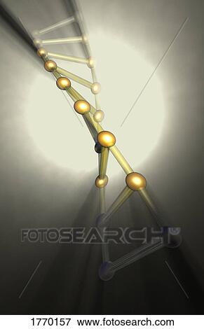 DNA strand, another shade. View Large Photo Image Stock Photo - DNA strand, another shade.. Fotosearch