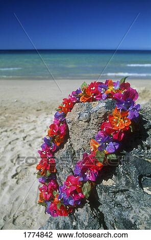 Hawaii lei View Large Photo Image Stock Image - Hawaii lei. Fotosearch