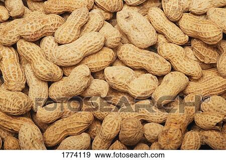 Stock Photo - Peanuts in the shell. Fotosearch