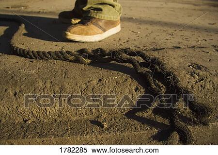 Rope unraveling View Large Photo Image Stock Photography - Rope unraveling. Fotosearch