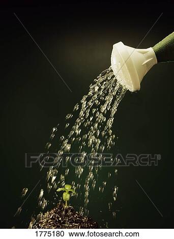 Stock Image - Water of life. Fotosearch