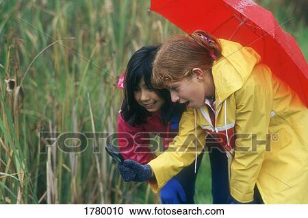 Children take a closer look View Large Photo Image Stock Image - Children take a closer look. Fotosearch