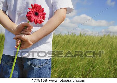 Stock Photo - Boy holding a flower behind his back. Fotosearch