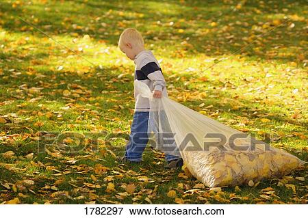 Stock Photo - Child pulling a bag of leaves. Fotosearch