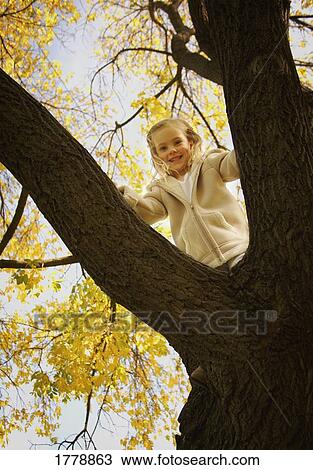 Young girl in tree View Large Photo Image Stock Image - Young girl in tree. Fotosearch