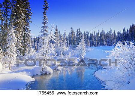 Stock Photograph - A stream. Fotosearch