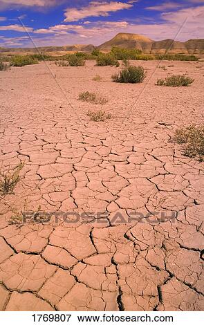 arid landscape View Large Photo Image Stock Photo - arid landscape. Fotosearch
