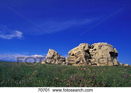 Large rock formation in grassy field View Large Photo Image Stock Image - Large rock formation in grassy field. Fotosearch