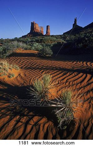 Rippled sand and desert vegetation with a backdrop of buttes View Large Photo Image Stock Image - Rippled sand and desert vegetation with a backdrop of buttes. Fotosearch