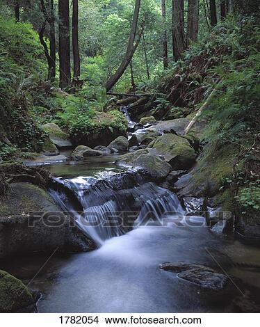 Tunitas Creek, California, USA View Large Photo Image Picture - Tunitas Creek, California, USA. Fotosearch