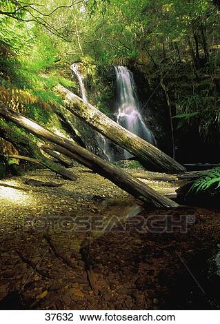 Stock Image - Waterfall in forest. Fotosearch