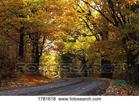 Stock Photo - A beautiful autumn road. Fotosearch